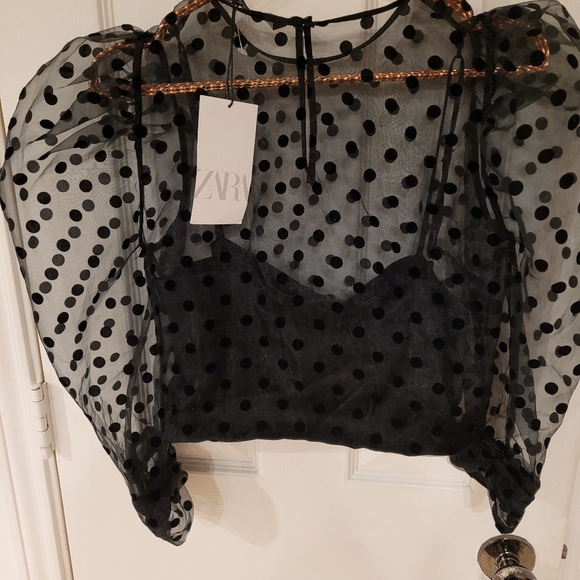 ZARA size M. CROP TOP - Picture 2 of 4